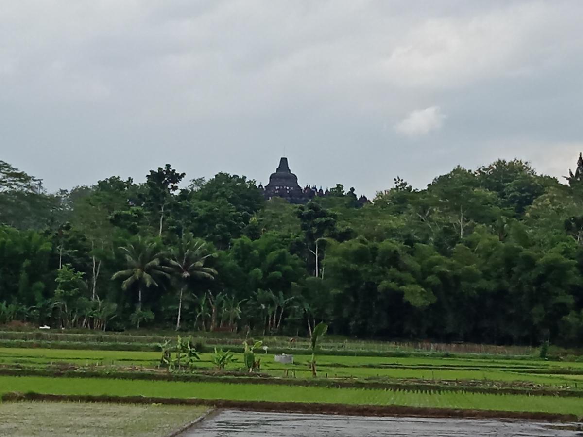 Penginapan & Guest House Mbok Dhe Borobudur Magelang Exteriér fotografie